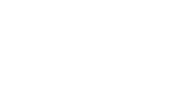 VSF logo icon