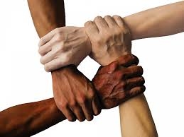 diversivitiet nl.mind