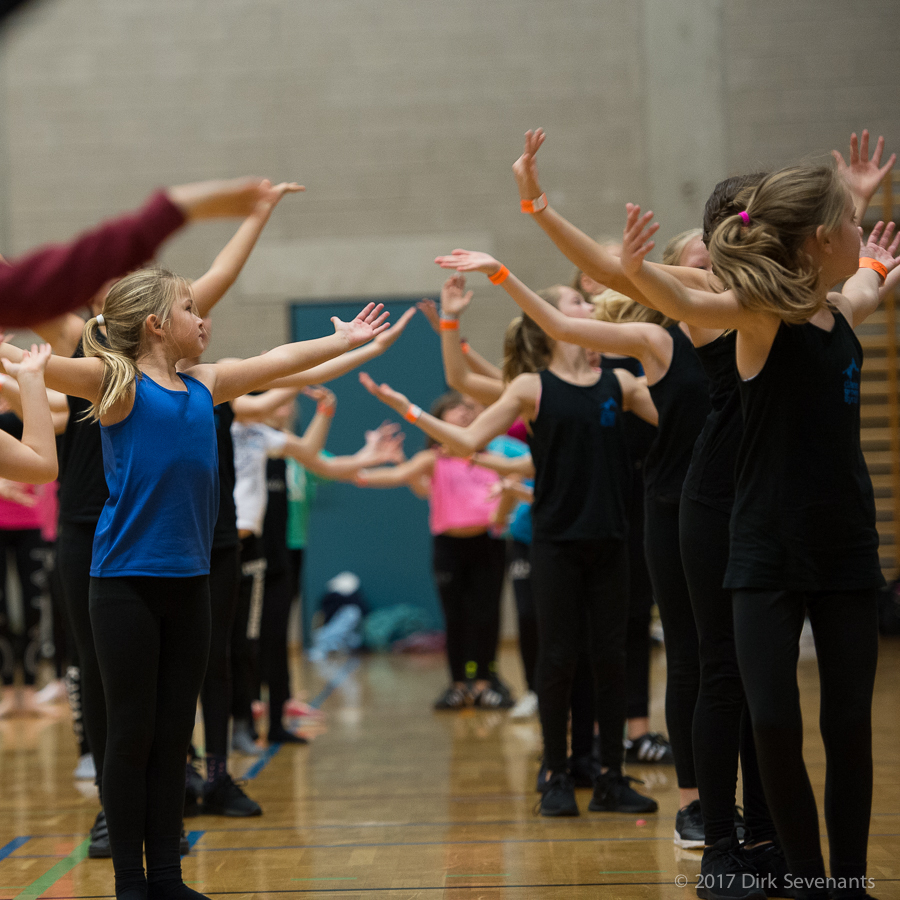 commissie recreatief dansen
